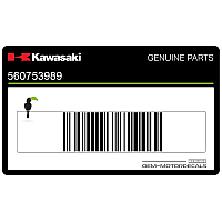 KAWASAKI Shroud graphic pattern, right side 56075-3989