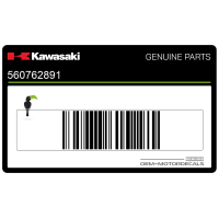 KAWASAKI Seitenverkleidungsaufkleber, linke Seite 56076-2891