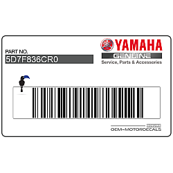 Side cowling decal, left side