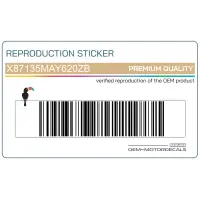 REPRODUCTION Pegatina para panel lateral, lado izquierdo X87135MAY620ZB