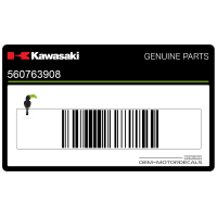 KAWASAKI Naklejka na pokrywę tylnią, lewa strona 56076-3908