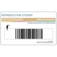 REPRODUCTION Adesivi carena anteriore superiore, set X4PT283900000