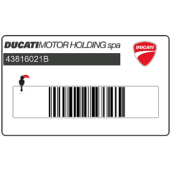 Kotflügelaufkleber vorne