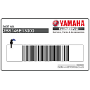 Tail cowl decal