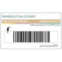 REPRODUCTION Zijpaneel sticker, rechterkant X6818502F00K3G