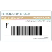 REPRODUCTION Heckverkleidung Aufkleber X6813126E300FP