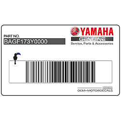 Tail cowl decal, right side