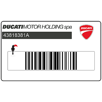 Naklejka na tylną owiewkę / zadupek, lewa strona