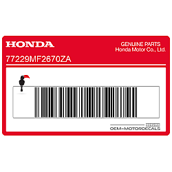 Rear body decal, left side