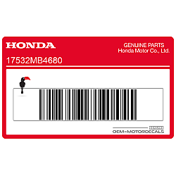 Emblème de réservoir, côté gauche