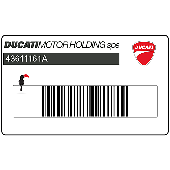 Adesivo telaio DUCATI MONSTER 620SI.E.