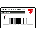 Side cover Hypermotard 939 graphic, right side
