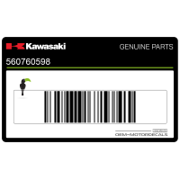 KAWASAKI Pegatina de colín trasero, lado derecho 56076-0598