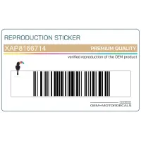 APRILIA Front fender decal, left side XAP8166714