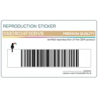 SUZUKI Pegatinas para carenado frontal, juego X6828024F00BVB