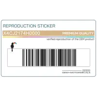 YAMAHA Adesivo pannello laterale, lato destro X4CJ2174H0000