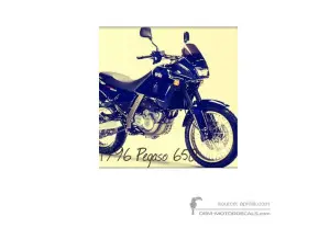 Decals for Aprilia Pegaso 650 1996 - Blue • Aprilia OEM Decals