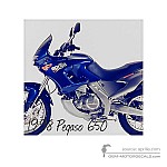 Aprilia Pegaso 650 1998 - Blue