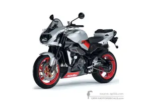 Decals for Aprilia RSV TUONO 1000 IE 2005 - Silver • Aprilia OEM Decals