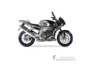 Decals for Aprilia RSV TUONO 1000 R 2006 - Gray • Aprilia OEM Decals