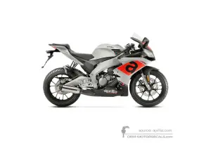 Decals for Aprilia RS4 50 2018 - Silver • Aprilia OEM Decals