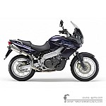 Aprilia ETV 1000 CAPO NORD 2002