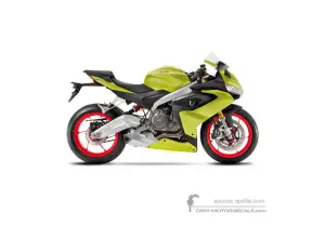 Decals for Aprilia RS660 2023 - Golden • Aprilia OEM Decals