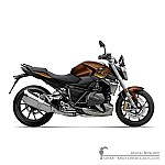 BMW R1250R Option 719 2021