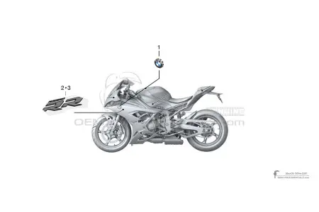 BMW S1000RR 2020 - Plata