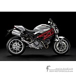 Ducati MONSTER 1100 2010 - Srebrny
