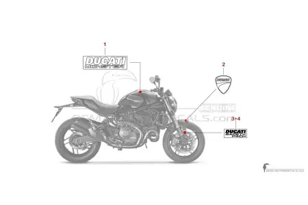 Ducati MONSTER 821 2020 - Donkergrijs
