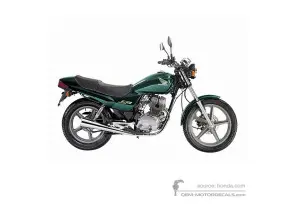 Pegatinas para Honda CB250 1998 - Verde • Honda Pegatinas OEM