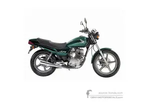 Pegatinas para Honda CB250 2000 - Verde • Honda Pegatinas OEM