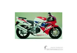 Stickers voor Honda CBR900RR 1995 - Wit • Honda OEM Stickers