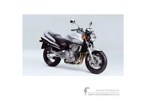 Adesivi per Honda CB600F HORNET 1998 - Argento • Honda Adesivi OEM