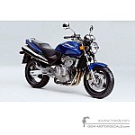 Honda CB600F HORNET 2000 - Niebieski