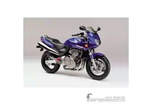 Decals for Honda CB600F HORNET S 2000 • Honda OEM Decals