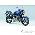Honda CB600F HORNET 2001 - Azul