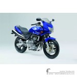 Honda CB600F HORNET S 2002
