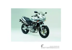 Decals for Honda CB600F HORNET S 2002 • Honda OEM Decals