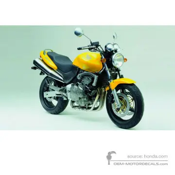 Honda CB600F HORNET 2002 - Amarillo - Pearl Flash Yellow