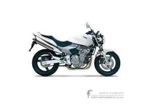 Stickers voor Honda CB600F HORNET 2003 - Wit • Honda OEM Stickers