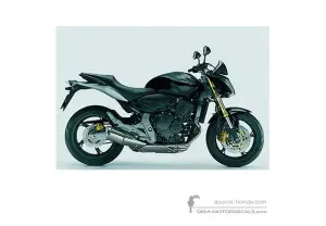 Pegatinas para Honda CB600F HORNET 2007 - Negro • Honda Pegatinas OEM