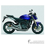 Honda CB600F HORNET 2007 - Blue
