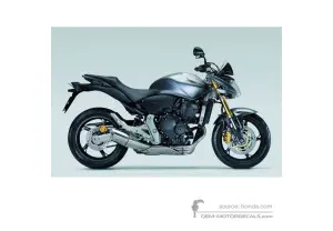 Decals for Honda CB600F HORNET 2008 - Silver • Honda OEM Decals