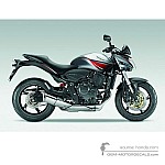 Honda CB600F HORNET 2009 - Zilver