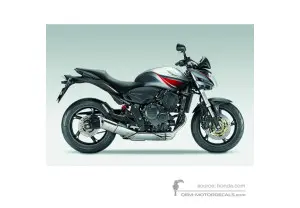 Stickers voor Honda CB600F HORNET 2009 - Zilver • Honda OEM Stickers