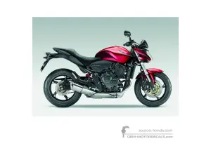 Autocollants pour Honda CB600F HORNET 2009 - Rouge • Honda Autocollants OEM