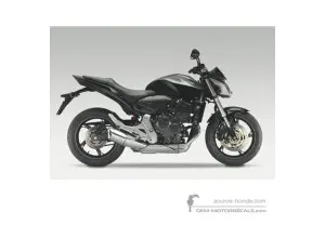 Autocollants pour Honda CB600F HORNET 2011 - Noir • Honda Autocollants OEM