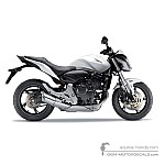 Honda CB600F HORNET 2012 - White